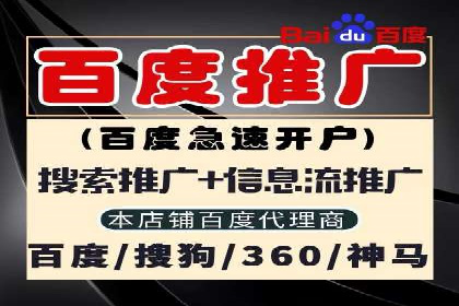 某大型企业利用信息流代理提升数据效率的实践